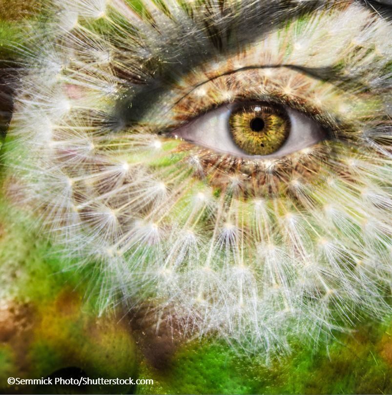 Copyright Semmick Photo/Shutterstock.com