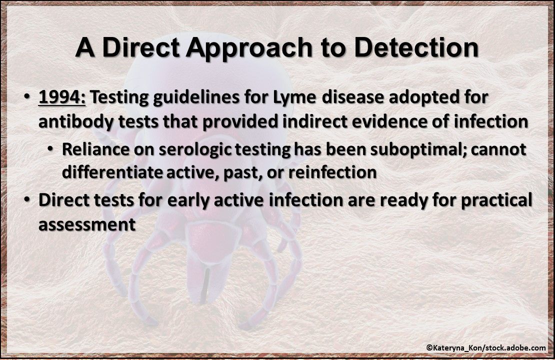 6 Essential Updates In Lyme Disease Research   JulyHepC Lyme2.JPG