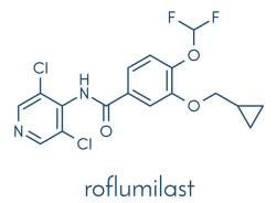 Roflumilast Data Showcased Across Diverse Skin Conditions and Age Groups at EADV 2025 
