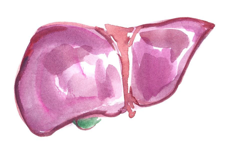 Novel Algorithm, FAST-3, Shows Promise as Noninvasive Classifier for Advanced Fibrosis in MASLD