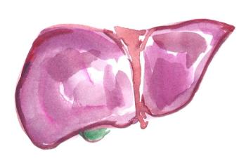 FAST-3 algorithm effective noninvasive classifier for risk of MASH fibrosis Image credit liver ©Tina Bits/stock.adobe.com