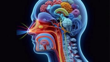 Does Intranasal Insulin Reach Critical Brain Areas Linked to Memory and Cognition? / image credit ©Cliff/stock.adobe.com