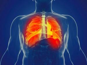 Cystic fibrosis, medication adherence