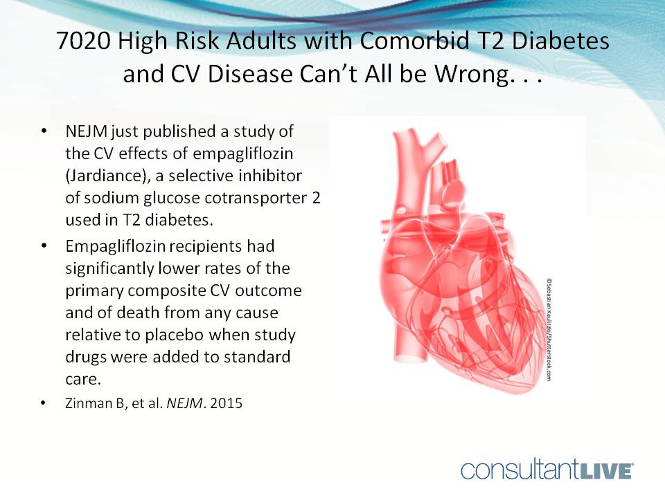 ©Sebastian Kaulitzsky/Shutterstock.com