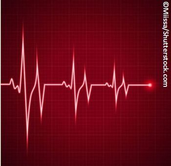 ©Miissa/Shutterstock.com