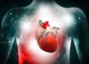 artificial intelligence atrial fibrillation detection, AI, AF, Afib