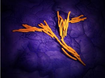 tuberculosis, hepatitis C, immunization