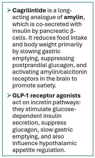 Amylin Injectable Cagrilintide Demonstrates Weight Loss of 11.8% in Late-Stage Trial: Novo Nordisk Update | Patient Care Online Amylin Injectable Cagrilintide Demonstrates Weight Loss of 11.8% in Late-Stage Trial: Novo Nordisk Update | Patient Care Online