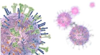 Influenza Vaccination 2023-2024: ACIP Recommendations and Changes   /  image credit ©Axel Koch/stock.adobe.com 