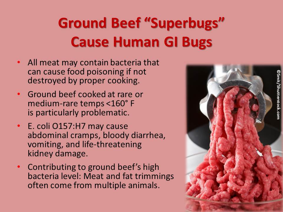 Bug Infested Meat Ten Red Meat Red Flags