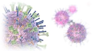 Positive Flu Tests Seen Among Young Adults