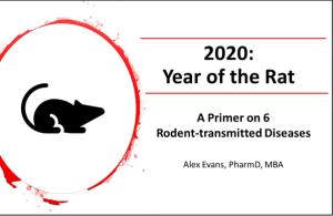 2020: Year of the Rat