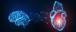 Post-MI Psychological Distress: Contributing Factor To and Consequence of Cardiovascular Disease