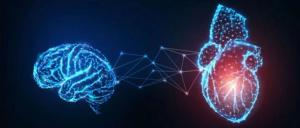 Post-MI Psychological Distress: Contributing Factor To and Consequence of Cardiovascular Disease / image credit ©Inna/stock.adobe.com