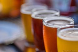 Beer and Cider Associated with Higher Risk of Gout in Both Sexes vs Other Alcohol Types