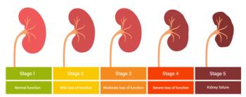 Rapid Progression of CKD Can Be Detected Early Using Simple Markers in Primary Care / Image credit kidney disease progression: ©pikovit/stock.adobe.com