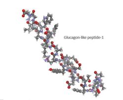 Ascletis Enters Small Molecule Oral GLP-1 RA Category with Positive Phase 1a Findings in Obesity