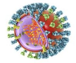 Non-Vaccine Seasonal Flu Preventive Shows Promise in Phase 2b Clinical Trial: Cidara Therapeutics 
