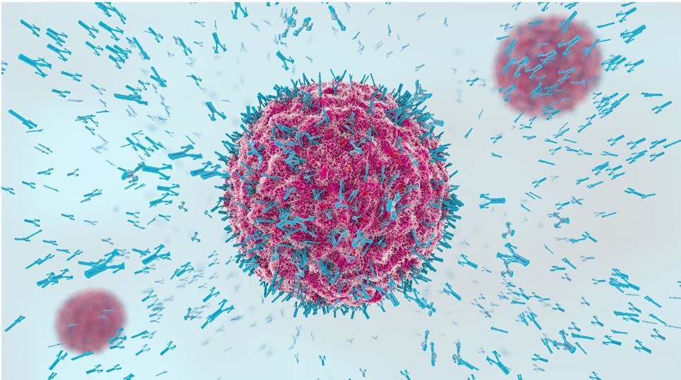 Astra Zeneca Phase 3 Trial Shows AZ Antibody Combination Reduces Risk of Severe COVID-19, Death in High Risk Groups