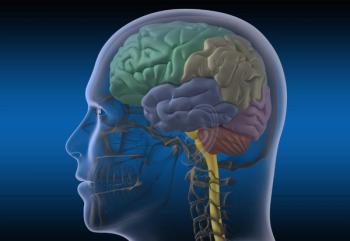 Persistent Changes in Brain Function Observed in Persons with Long COVID brain image ©Alex/Adobe Stock