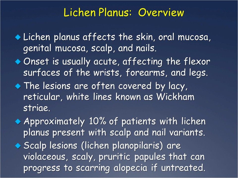 A Pruritic, Polygonal, Papular, Rash on a 10-year-old Boy