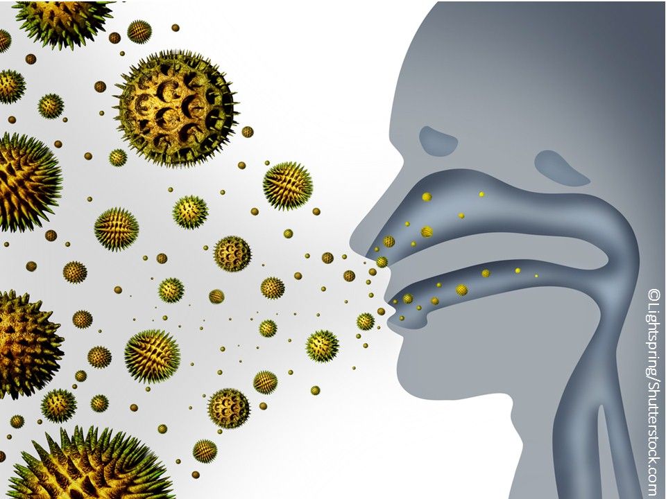 5Question Seasonal Allergy Quiz