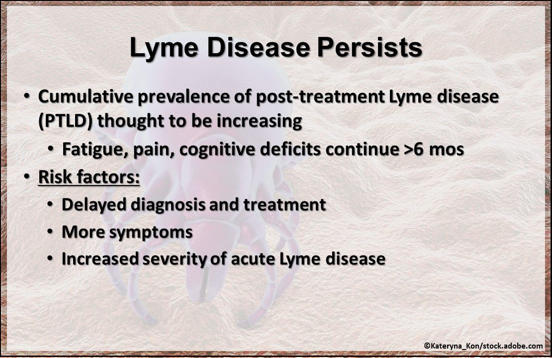 lyme disease, lyme disease symptoms, lyme disease research, ticks, ticks bites