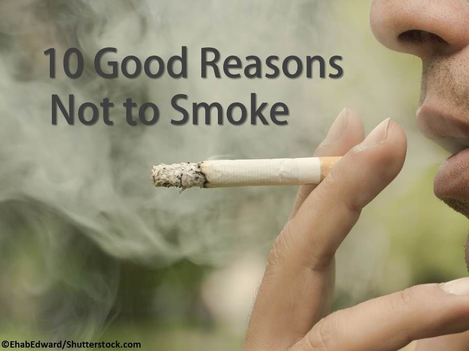tobacco types Types of Tobacco used in blends – The Session tobacco types Types of Tobacco used in blends – The Session