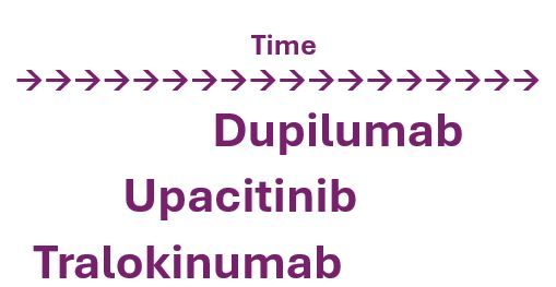 Dupilumab Demonstrates Superior Long-Term Persistence Over Upadacitinib and Tralokinumab in Atopic Dermatitis