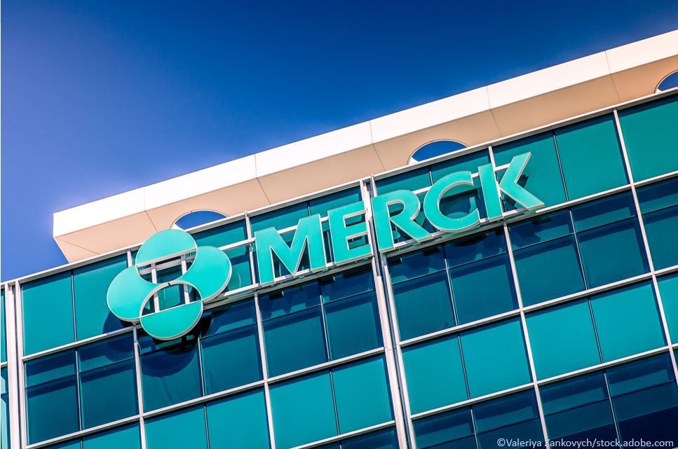 Merck plans to apply to the FDA for molnupiravir emergency use authorization as soon as possible. 