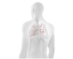 Comorbidities in Cystic Fibrosis: 10 Questions 