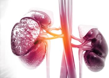New Data on Renal Protective Benefits of Sotagliflozin Will be Presented at Kidney Week 2024 / Image credit: ©Rasi/AdobeStock