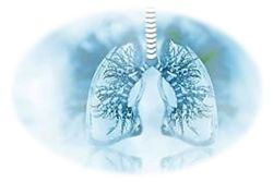 Find and Treat Asthma and COPD: All Interventions Make a Difference, Study Concludes 