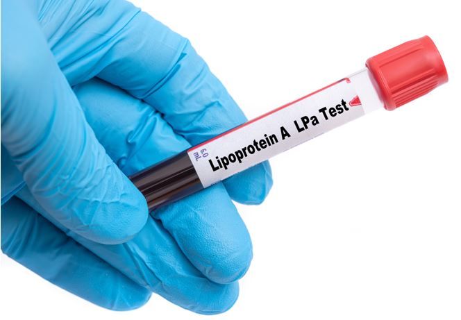 Elevated Lp a Levels Found Independent Predictors Of Recurrent CHD In elevated-lp-a-levels-found-independent-predictors-of-recurrent-chd-in