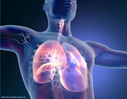 Mepolizumab Clinically Effective Regardless of Type 2 Biomarker Status in Patients with Severe Asthma, Suggests Real-world Data