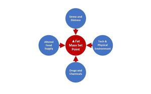 Physiology of obesity education for primary care physicians 