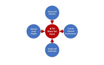 Physiology of obesity education for primary care physicians 