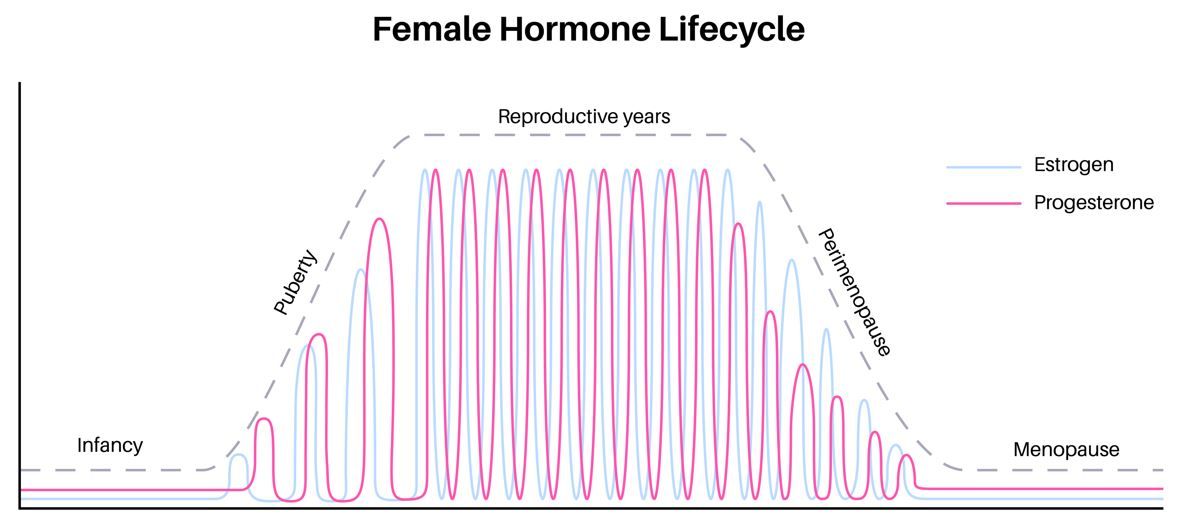 Perimenopause Misdiagnosis Affects Nearly 40% of Women as Healthcare System Fails to Address Hormonal Roots