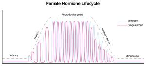 Perimenopause Misdiagnosis Affects Nearly 40% of Women as Healthcare System Fails to Address Hormonal Roots