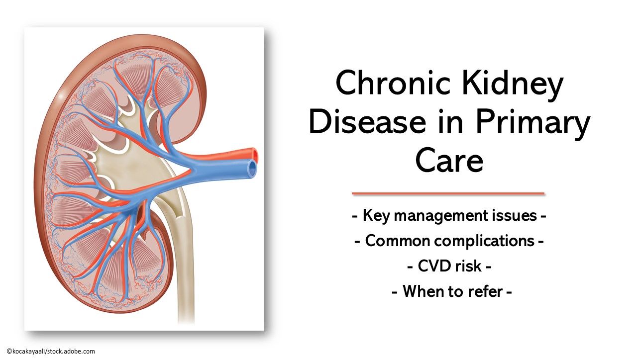 Chronic Kidney Disease in Primary Care: Essential Basics Review