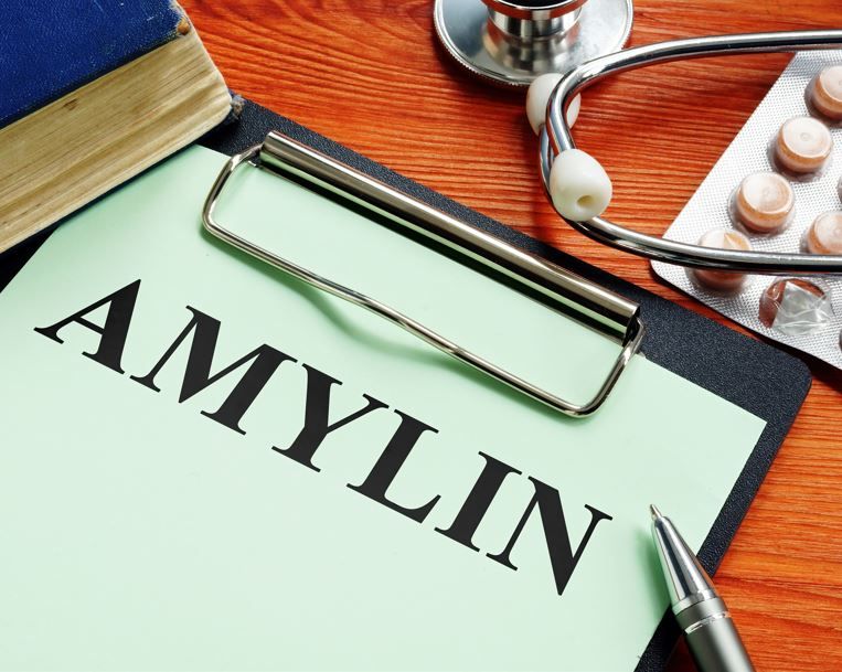 ZUPREME-1 Phase 2b Trial of Petrelentide for Obesity Completes Enrollment / image credit ©Vitalii Vodolazskyi/stock.adobe.com