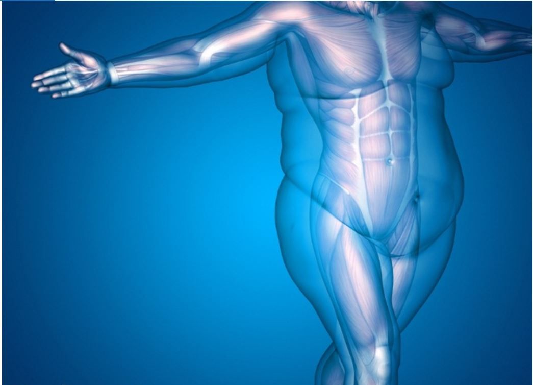 ADA Standards of Care for Overweight and Obesity to Debut at 2025 Scientific Sessions