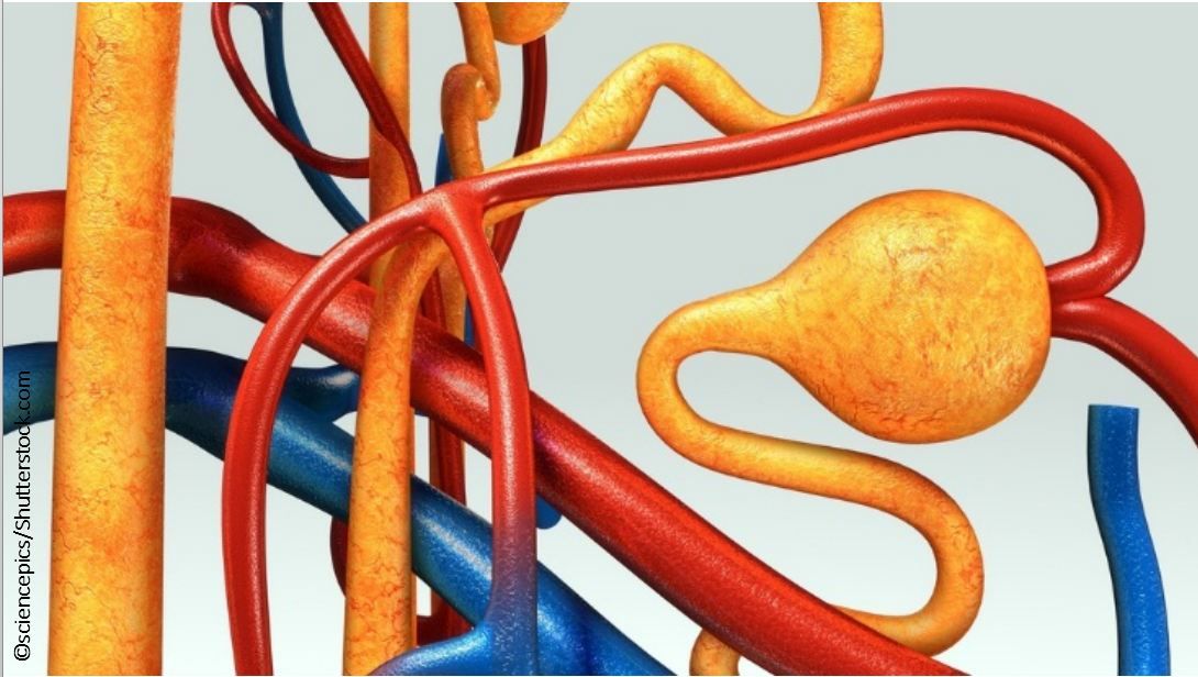 copyright sciencepics/Shutterstock.com