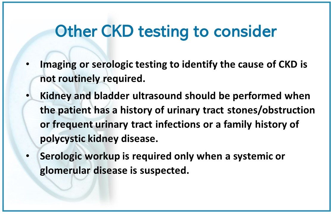 Chronic Kidney Disease: Diagnosis In Primary Care