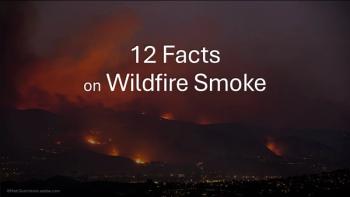 12 Facts on Wildfire Smoke / image credit © Matt Gush/stock.adobe.com
