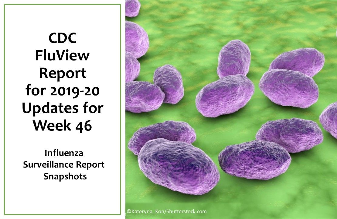 CDC FluView Snapshot For Week 46 2019 2020 Cdc fluview snapshot for week 46 2019 2020