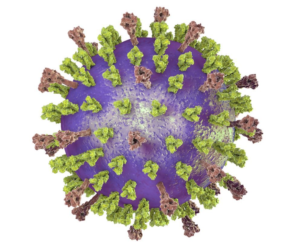 Initial RSV Vaccine Uptake Low Among Older Adults, Disparities Persist, Study Reveals/ image credit ©Kateryna Kon/Stock.adobe.com