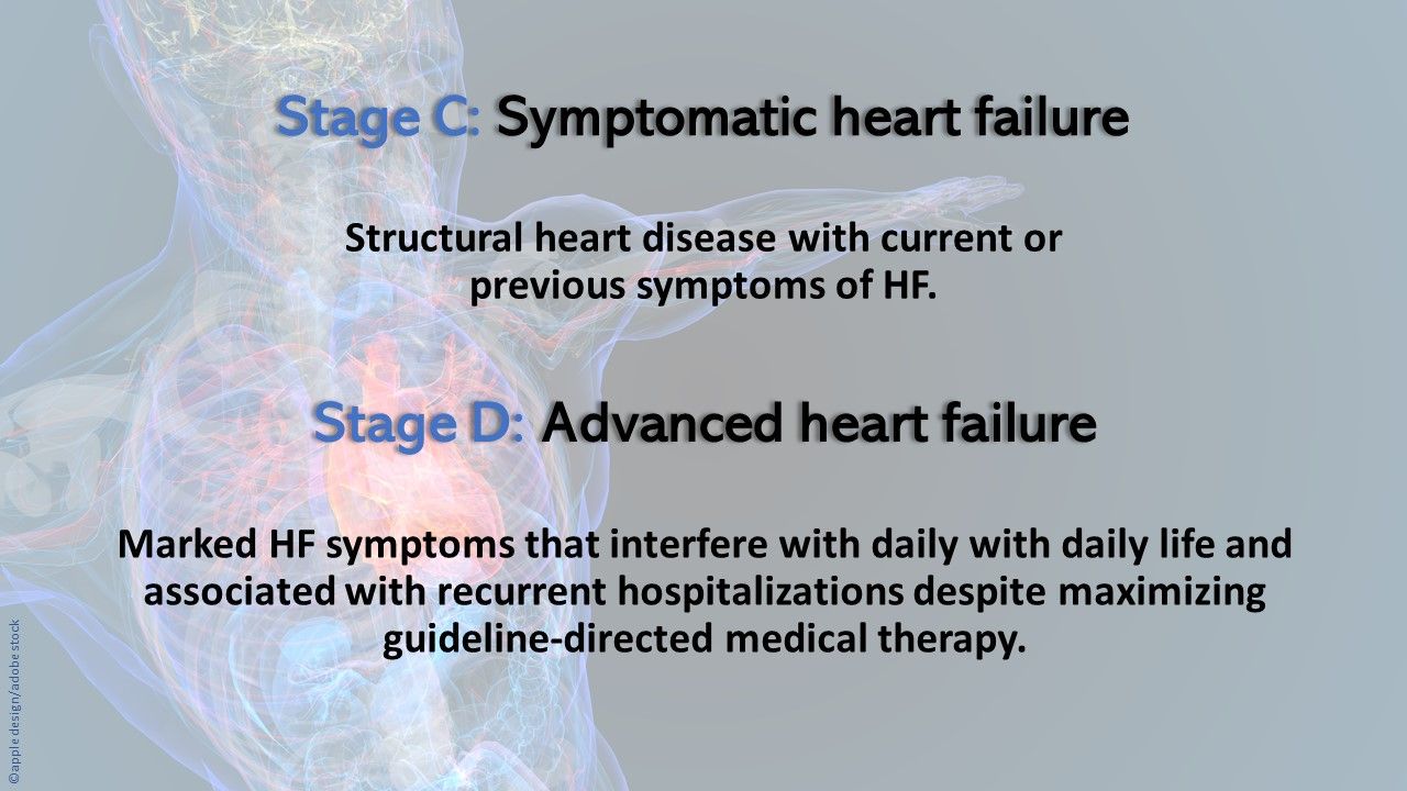 ACC, AHA, HFSA 2022 Heart Failure Management Guidelines: A Guideline ...