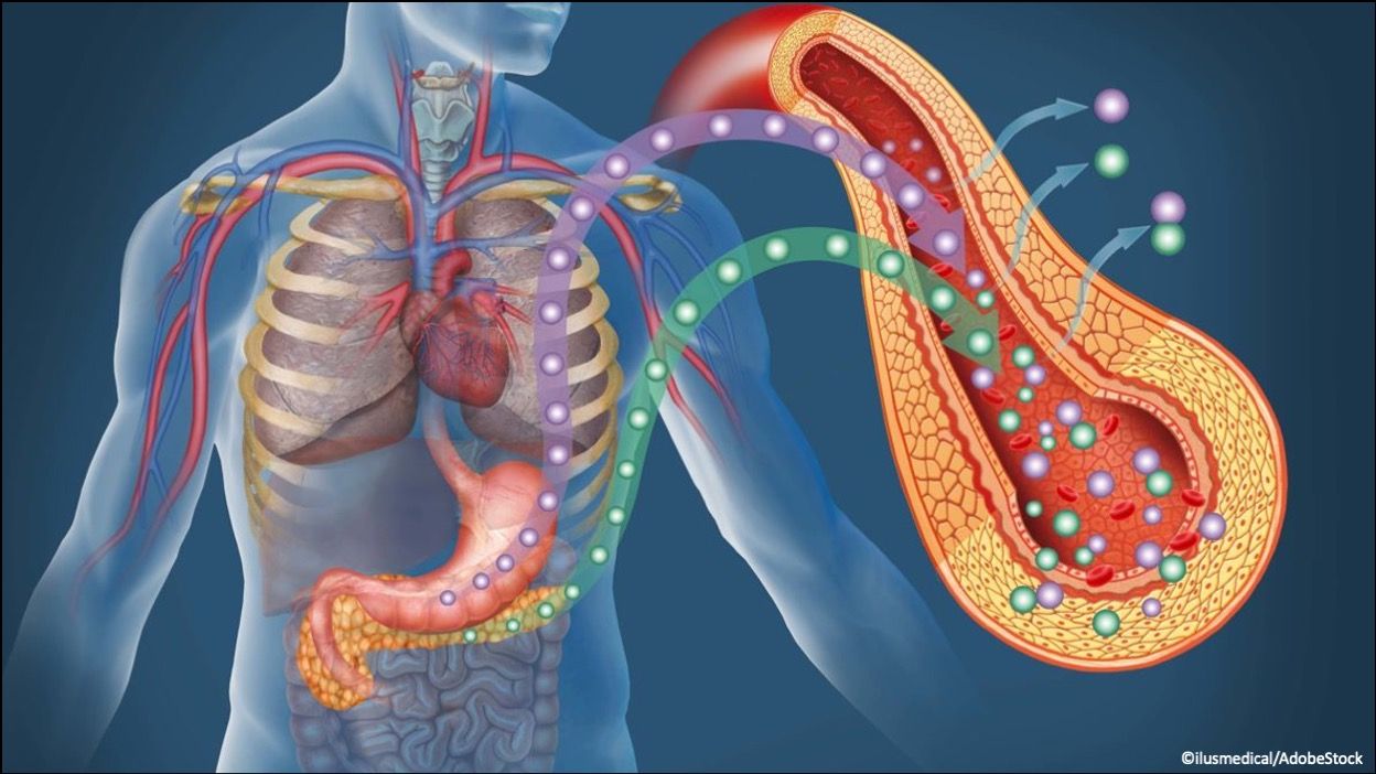10 Drugs Approved for Primary Care From the First Half of 2025 / image credit: ©ilusmedical/AdobeStock
