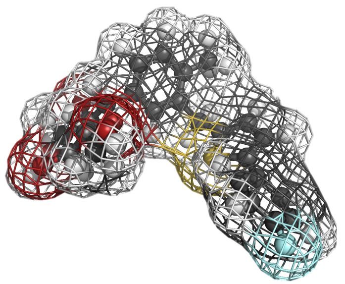 canagliflozin approved for kidney disease in T2D diabetes 